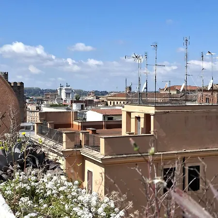 Apartment Monti View *