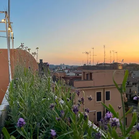 Apartment Monti View *